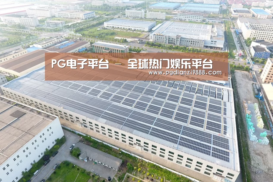 案例展示一