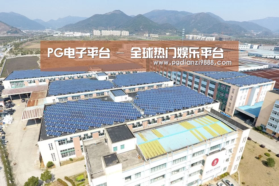 案例展示四