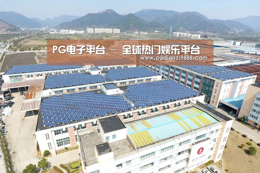 案例展示一