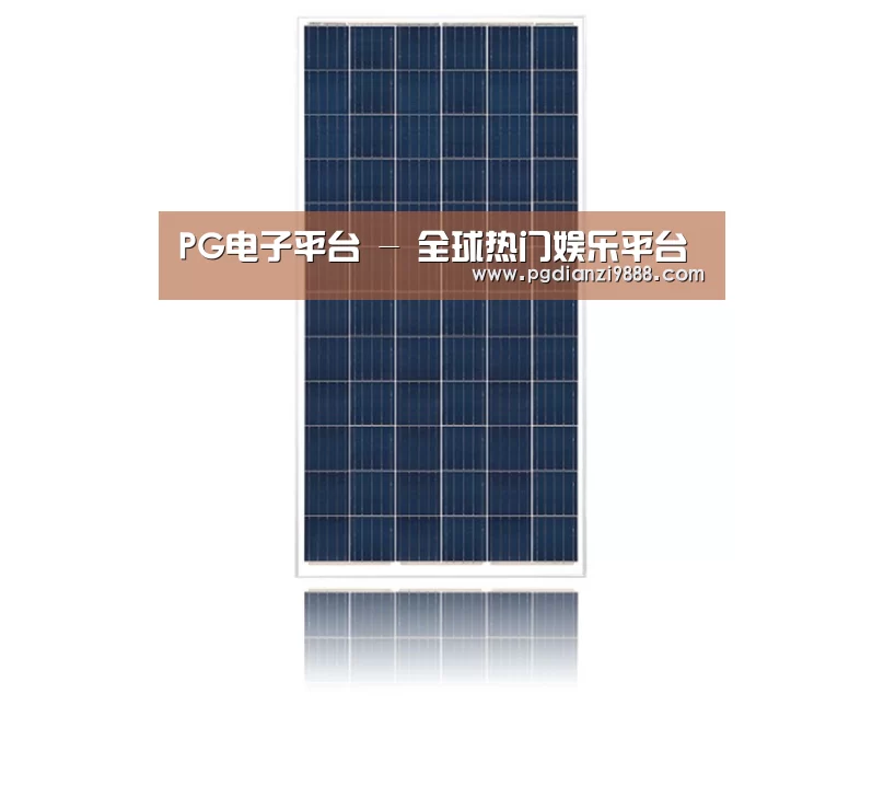 产品名称一