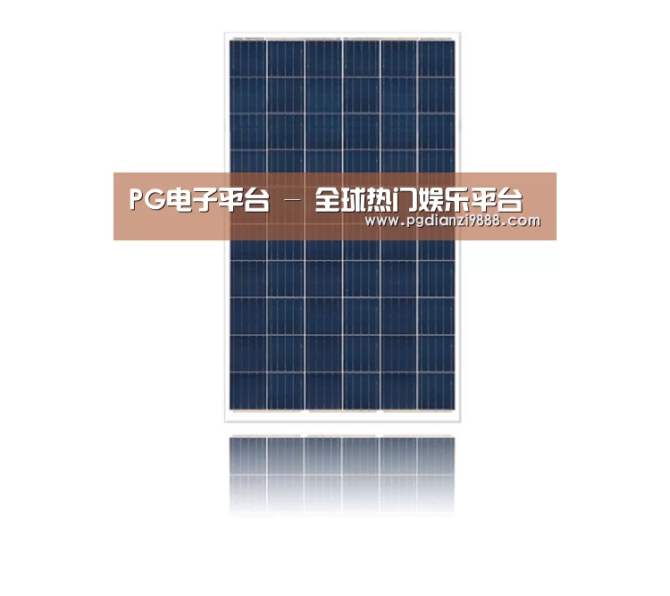 产品名称一