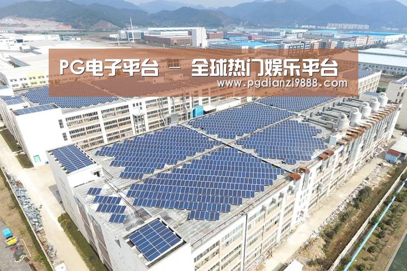 案例展示二