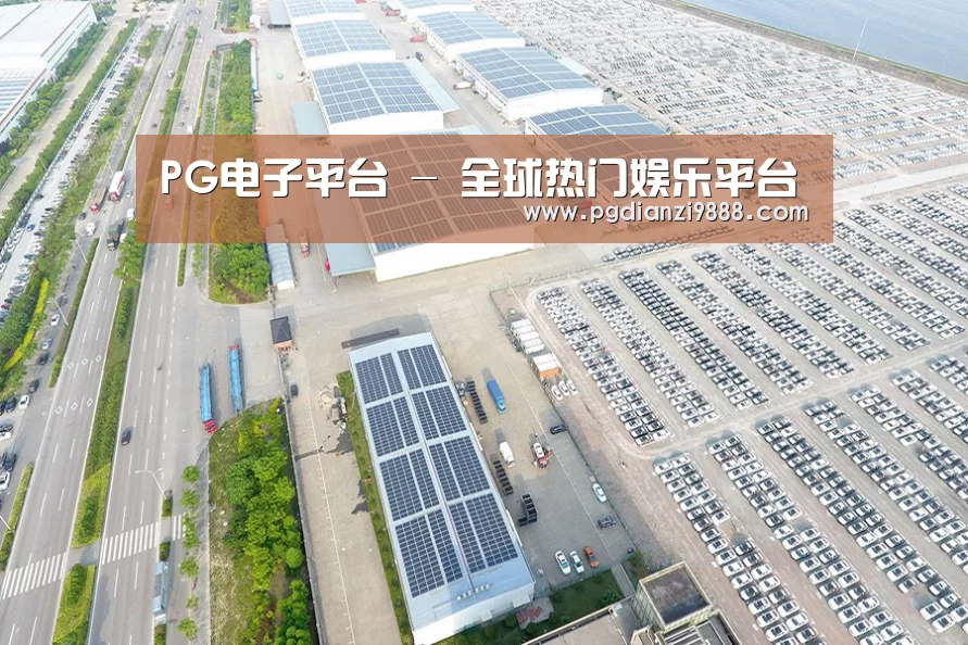 案例展示一