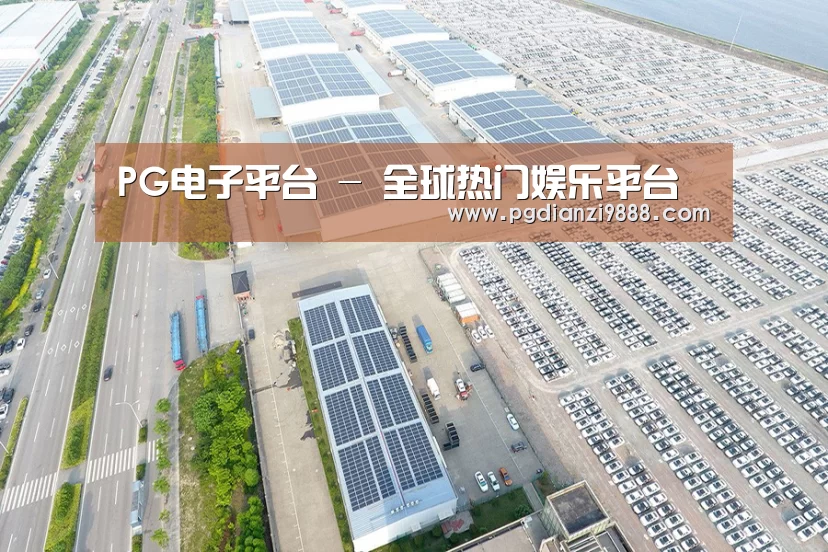 案例展示一