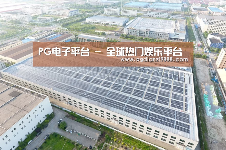 案例展示四
