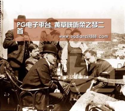 PG电子平台