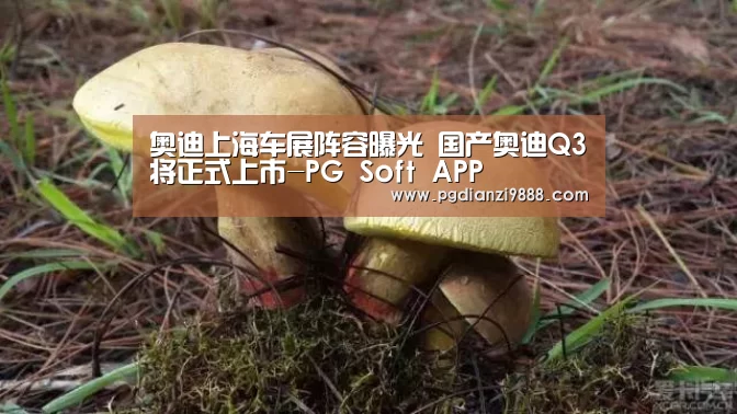 奥迪上海车展阵容曝光 国产奥迪Q3将正式上市-PG Soft APP(图2) PG官网