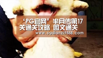PG电子平台