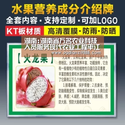 PG麻将官方入口