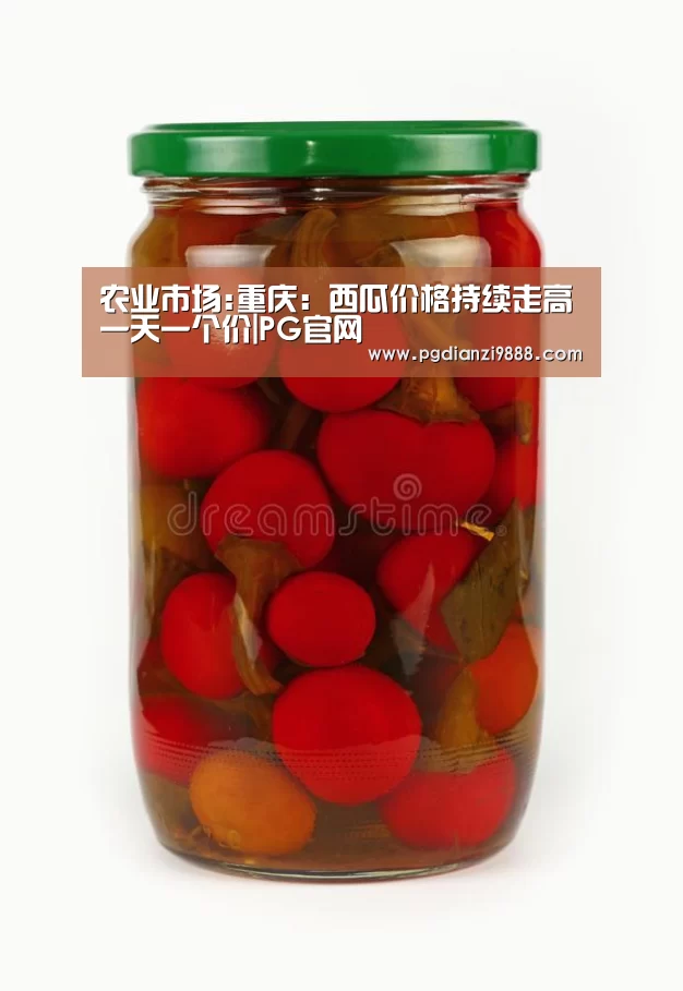 PG麻将官方入口