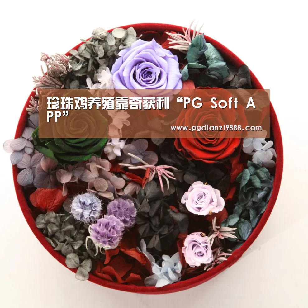 珍珠鸡养殖靠奇获利“PG Soft APP”(图2) PG Soft APP