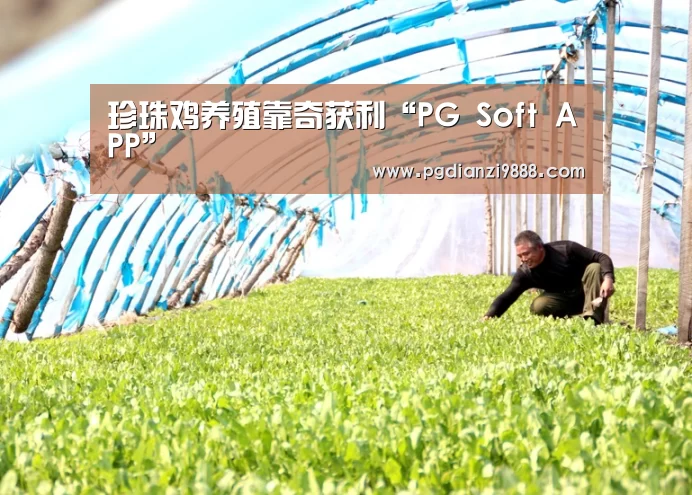 珍珠鸡养殖靠奇获利“PG Soft APP”(图4) PG Soft APP