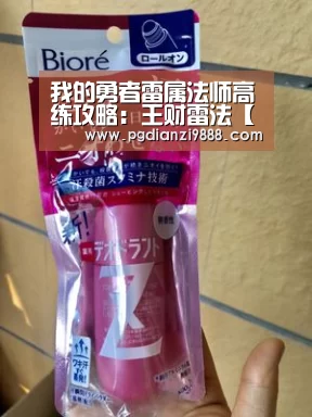 我的勇者雷属法师高练攻略:王财雷法【PG电子平台】(图1) PG麻将官方入口