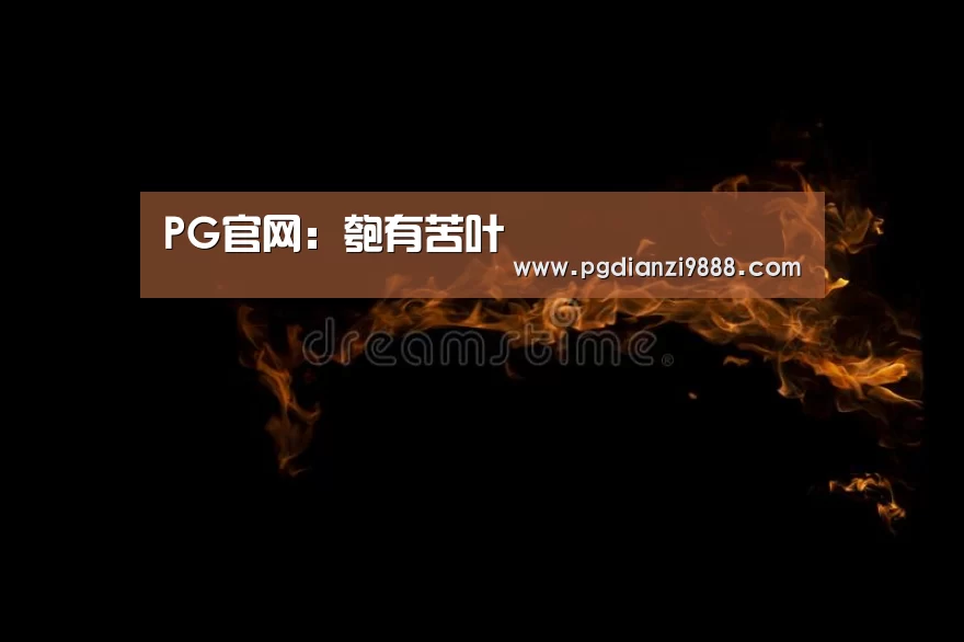 PG官网