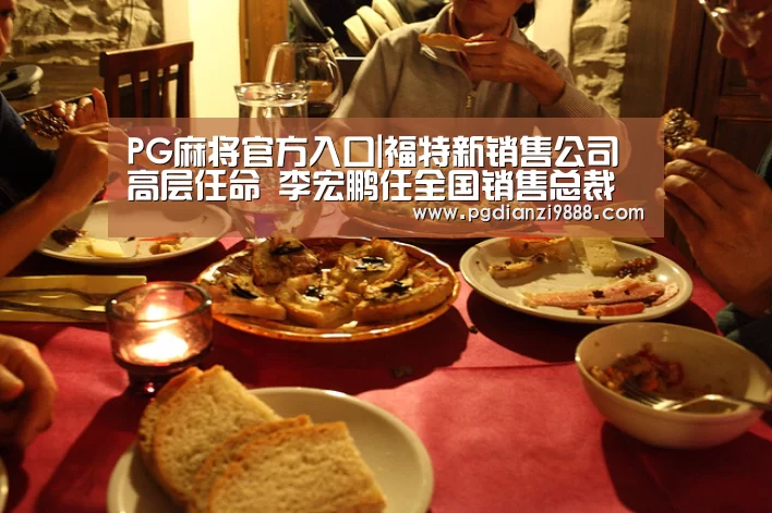 PG麻将官方入口|福特新销售公司高层任命 李宏鹏任全国销售总裁(图2) PG电子平台