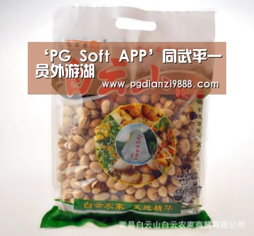 PG麻将官方入口