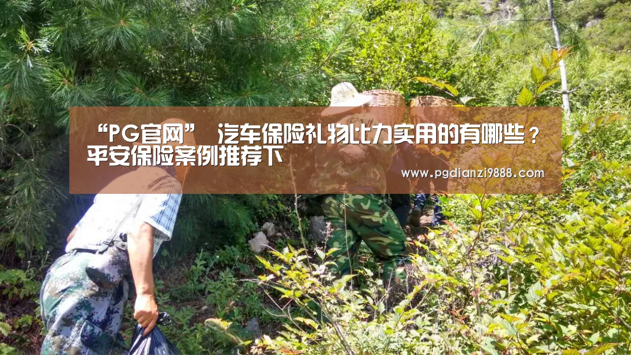 “PG官网”
汽车保险礼物比力实用的有哪些?平安保险案例推荐下 (图3) PG官网