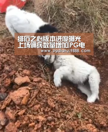 绯石之心版本进度曝光 上场佣兵数量增加|PG电子平台(图1) PG Soft APP