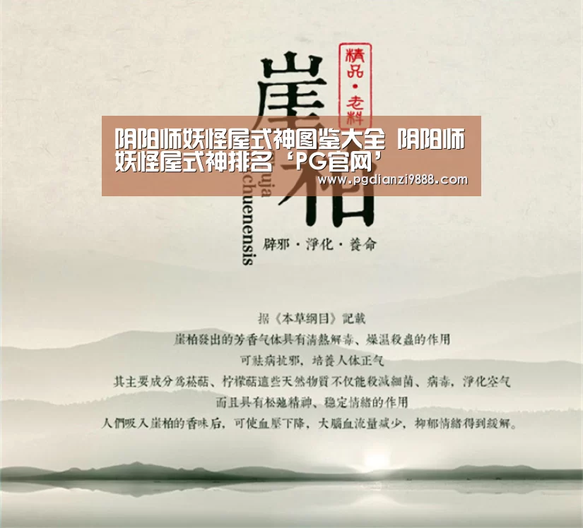 PG官网