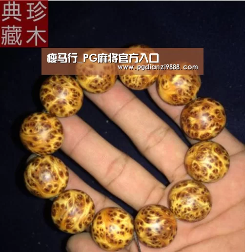 瘦马行_PG麻将官方入口(图2) PG Soft APP